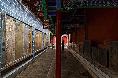 《沙丘：觉醒》确定将包括蜻蜓扑翼机空中战斗